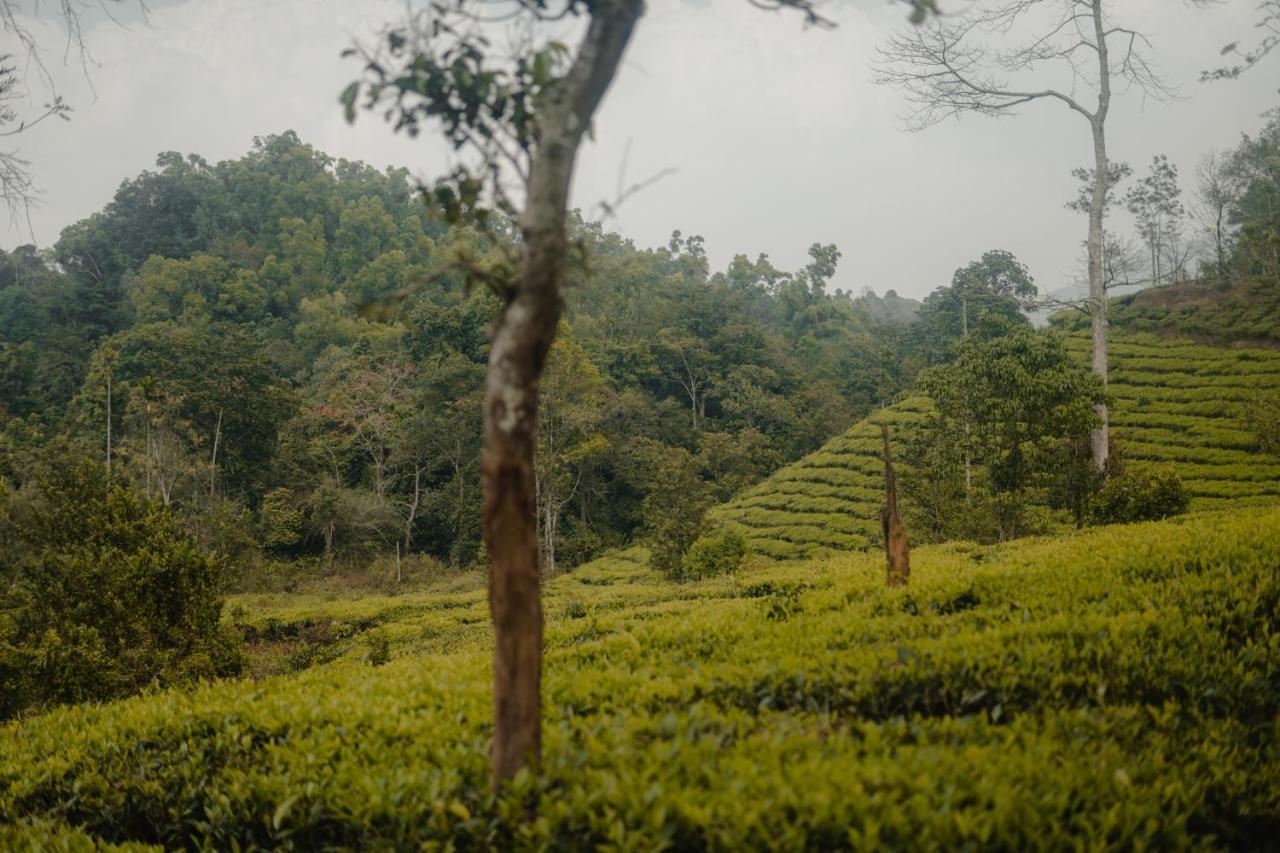 Abad Brookside Wayanad Hotel Витири Екстериор снимка