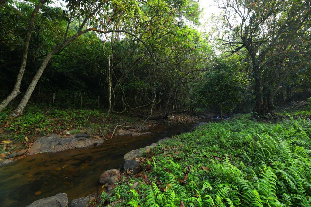 Abad Brookside Wayanad Hotel Витири Екстериор снимка