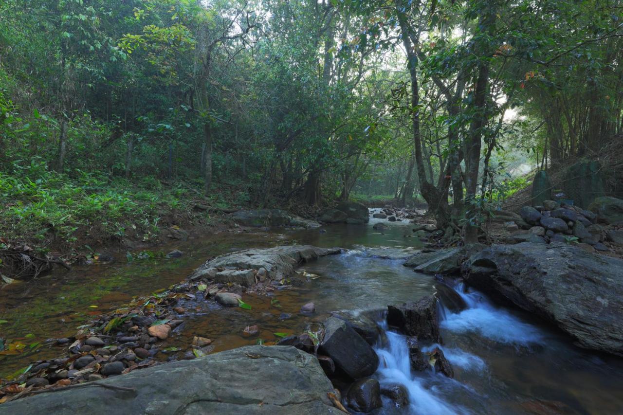 Abad Brookside Wayanad Hotel Витири Екстериор снимка